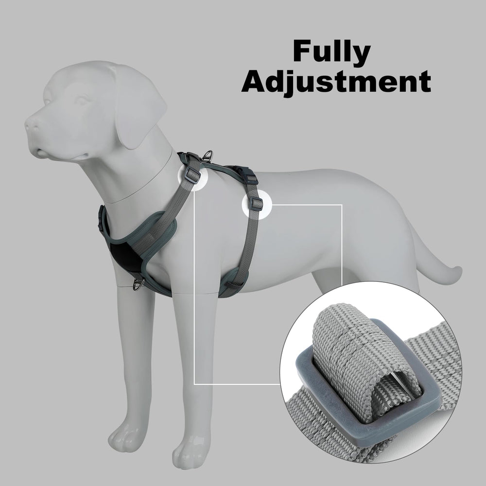 Plutus Pet no pull harness gray color coordinates with gear for a coordinated look.