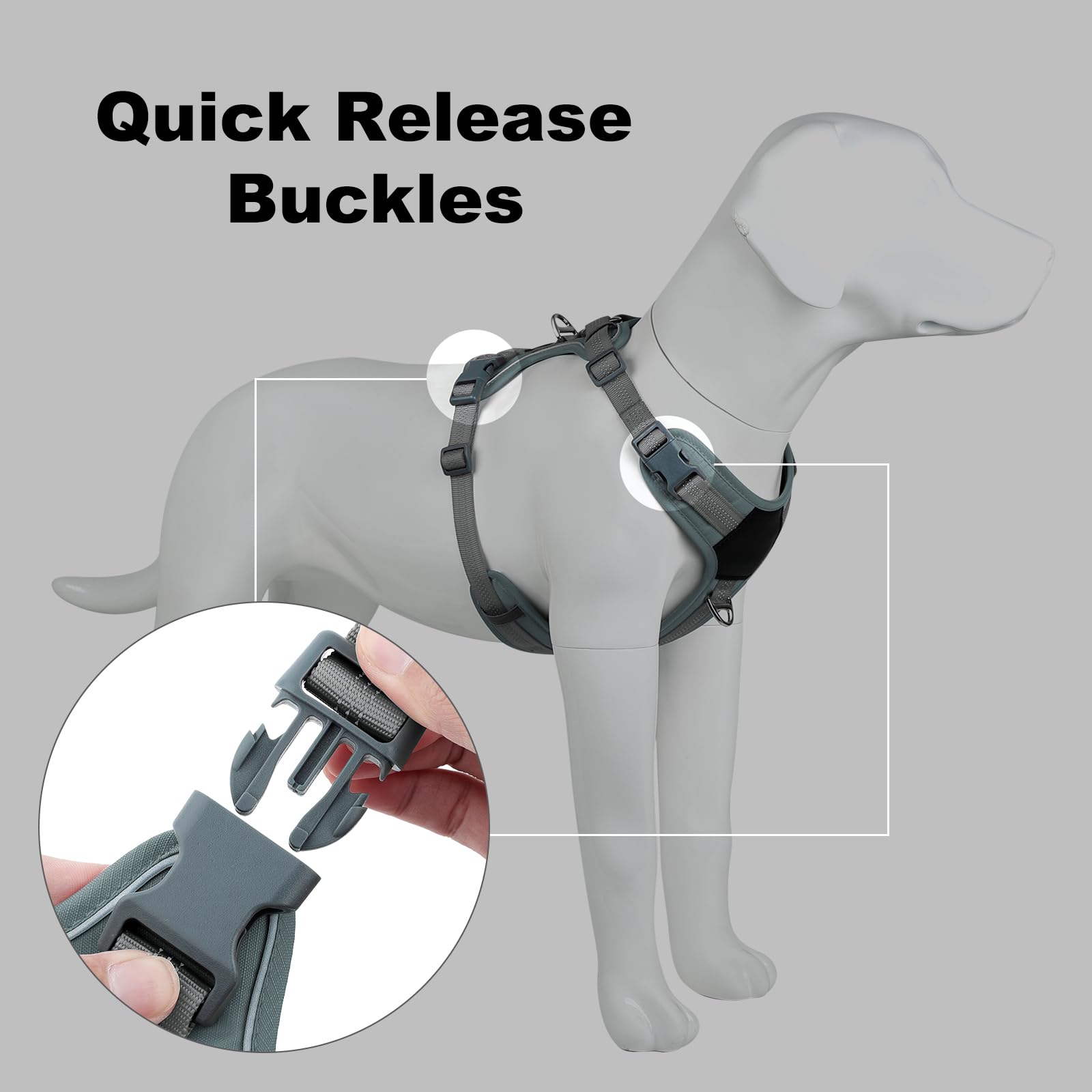 Plutus Pet neck release buckle enables quick, comfortable on-off.