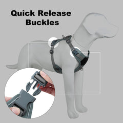 Plutus Pet neck release buckle enables quick, comfortable on-off.