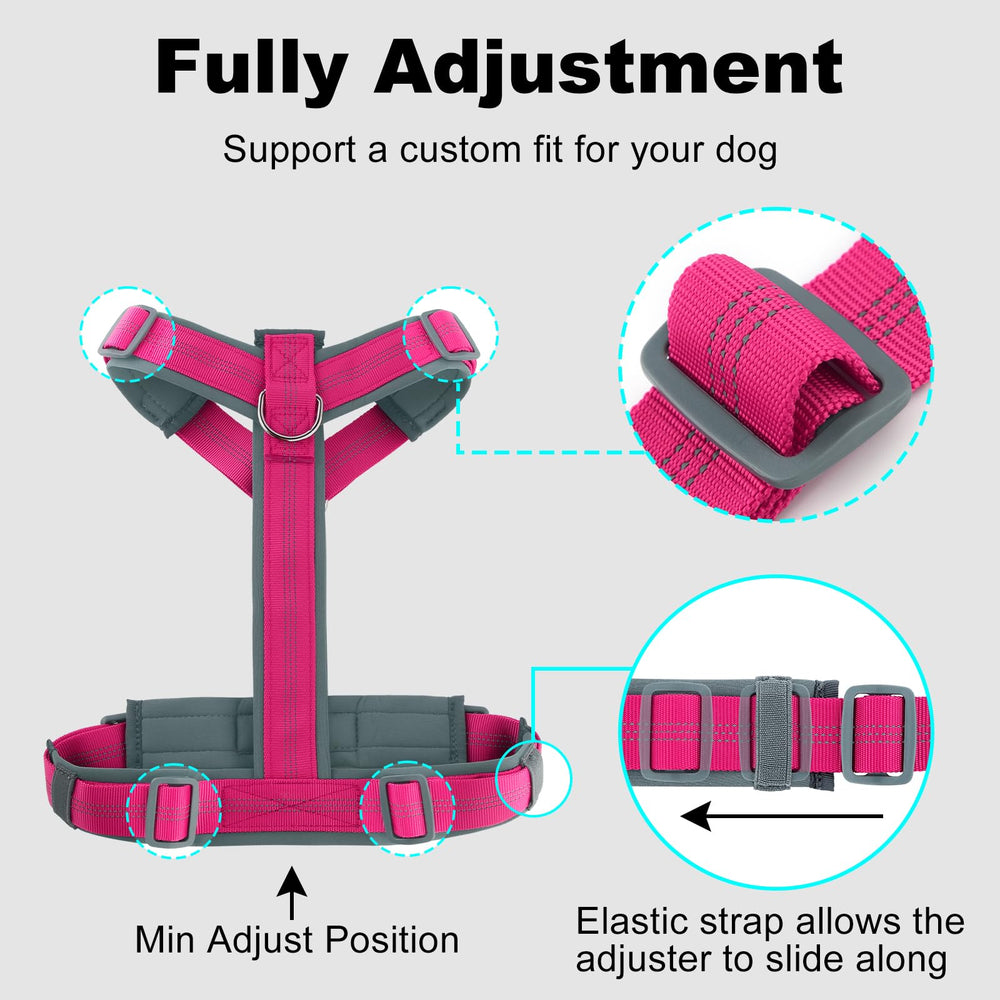 Plutus Pet No Pull Harness ideal for night walks and daily adventures.