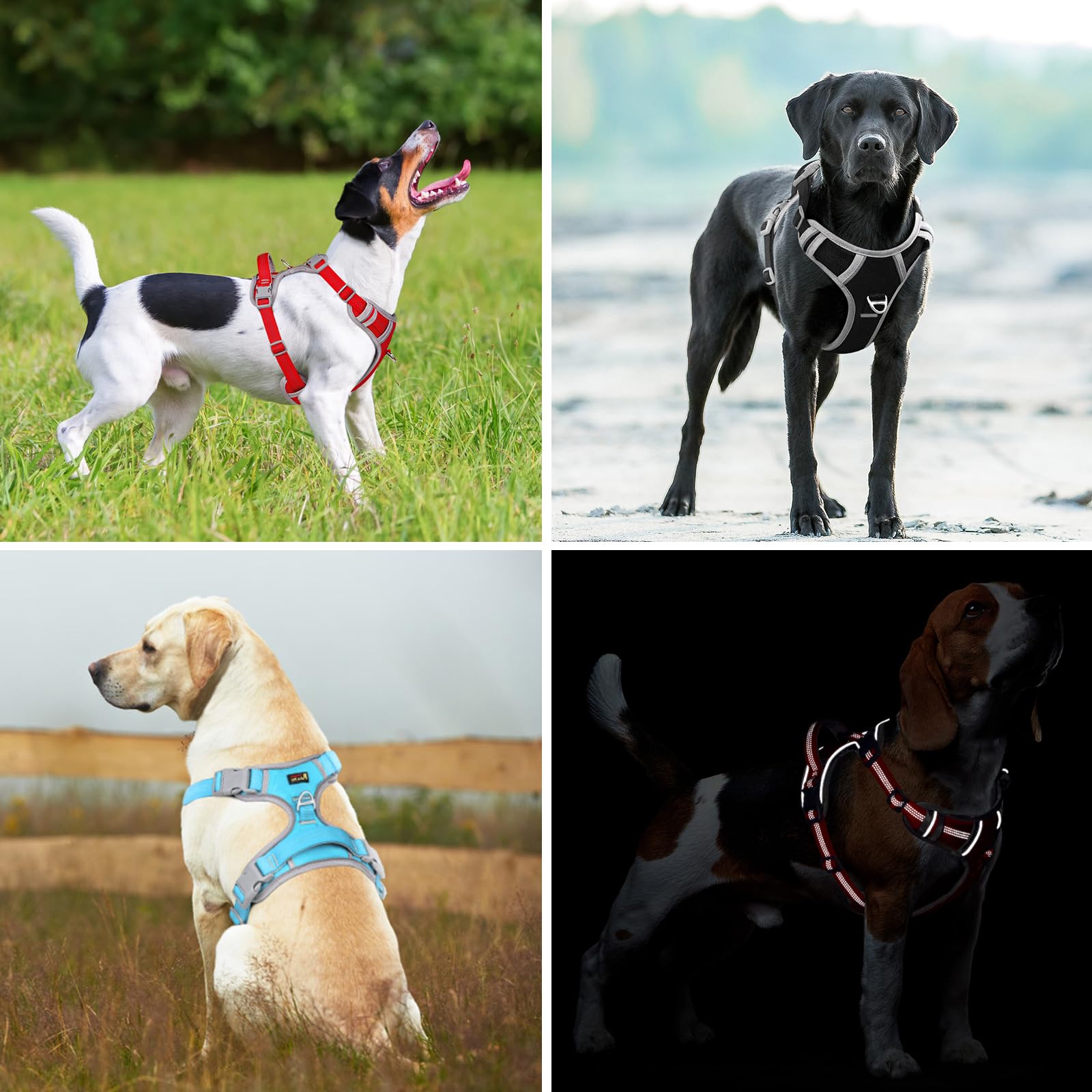 Plutus Pet No Pull Harness reflective strips improve nighttime visibility.