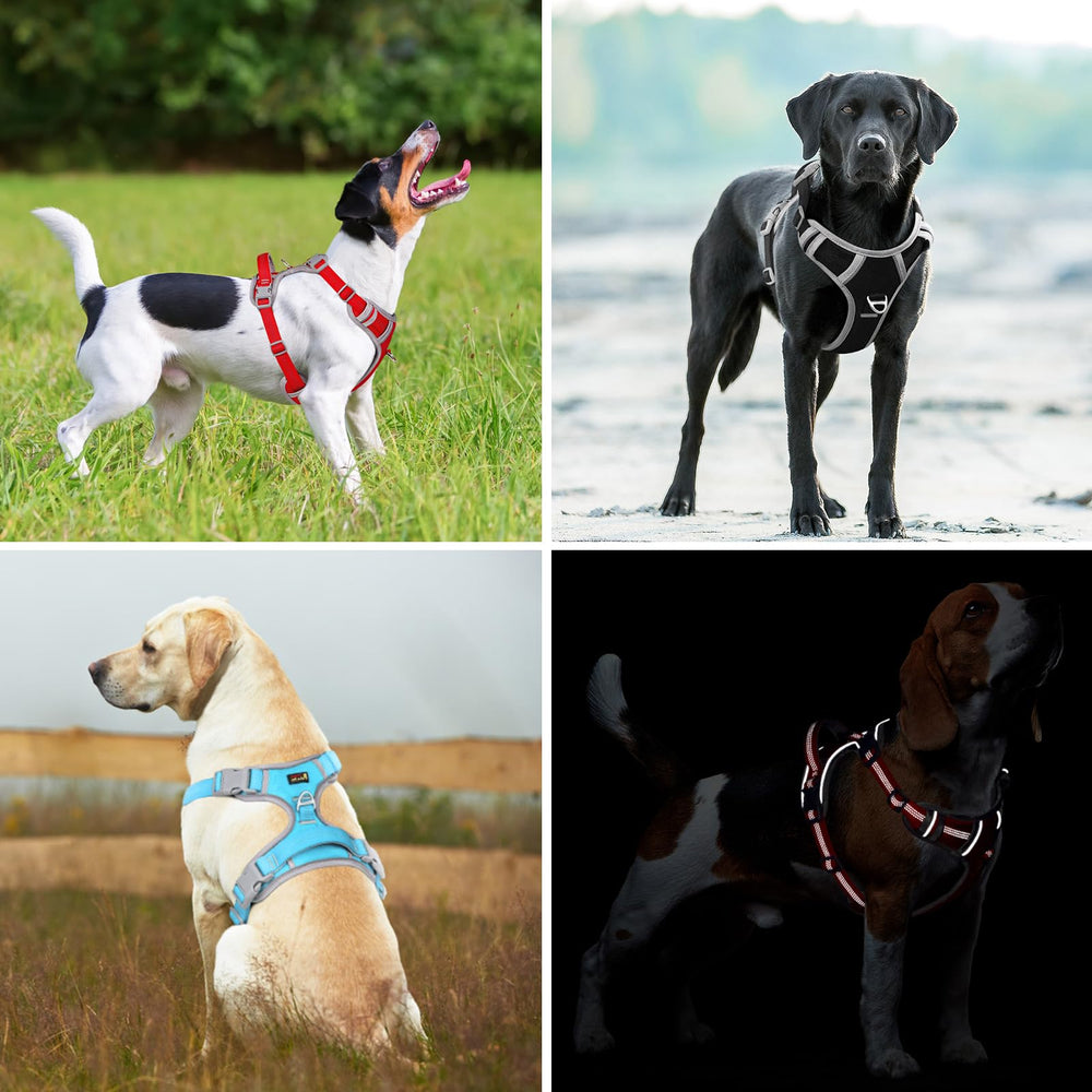 Plutus Pet No Pull Harness reflective strips improve nighttime visibility.