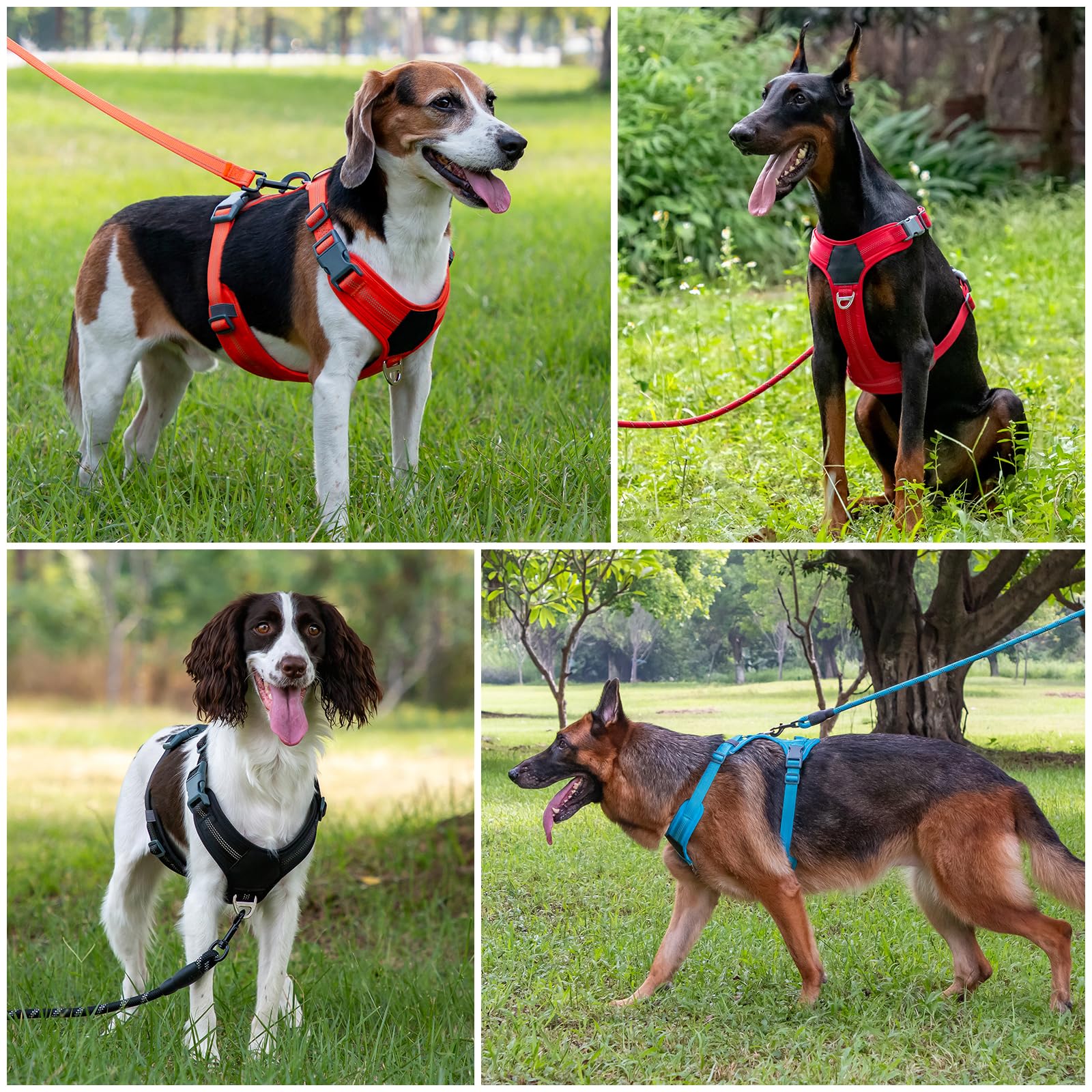 Plutus Pet no pull harness reflective strips improve visibility in low light.