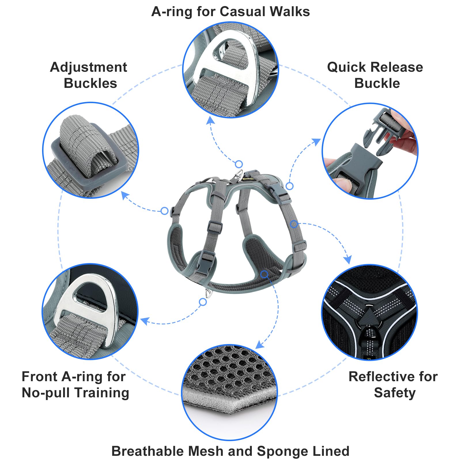 Plutus Pet no pull harness small dog size provides secure fit.