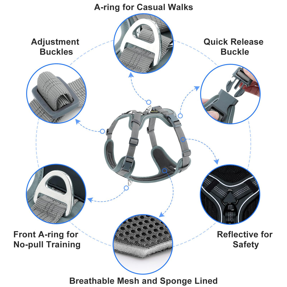Plutus Pet no pull harness small dog size provides secure fit.