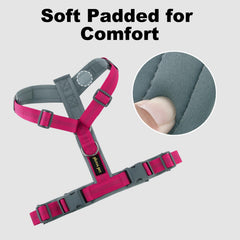 Plutus Pet No Pull Harness soft padding prevents chafing during wear.
