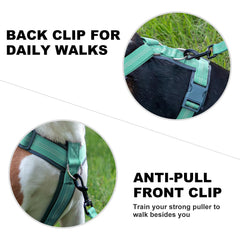 Plutus Pet No Pull Harness reflective straps boost night visibility during walks