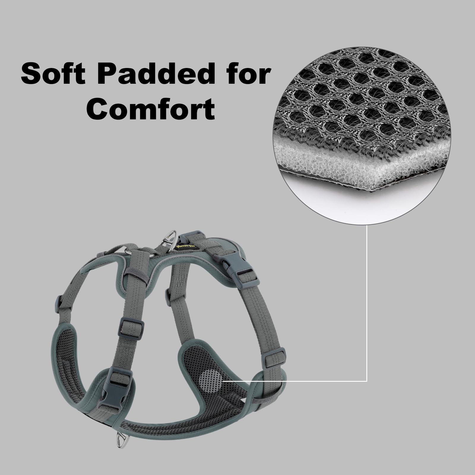 Plutus Pet no pull harness two D-rings for walking and training modes.