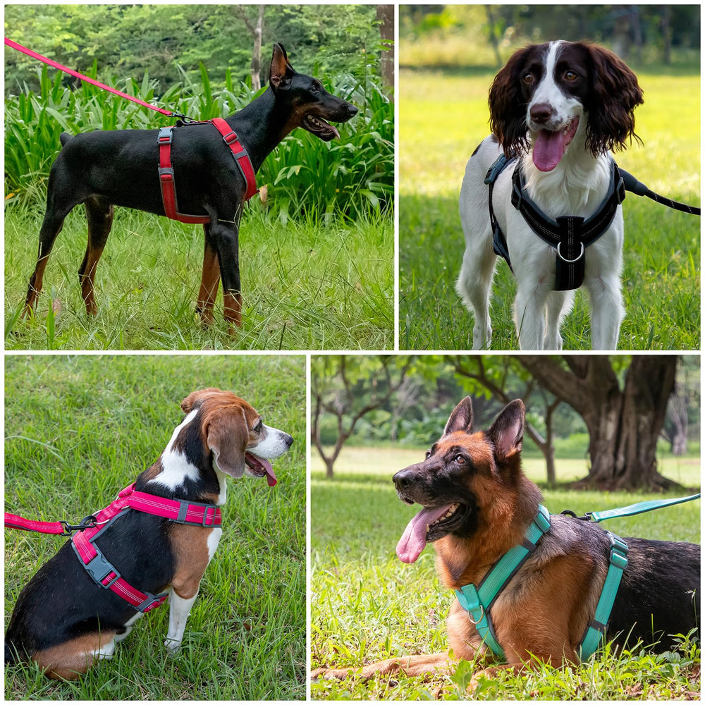 Plutus Pet No Pull Harness Y-shaped nylon design supports natural movement.
