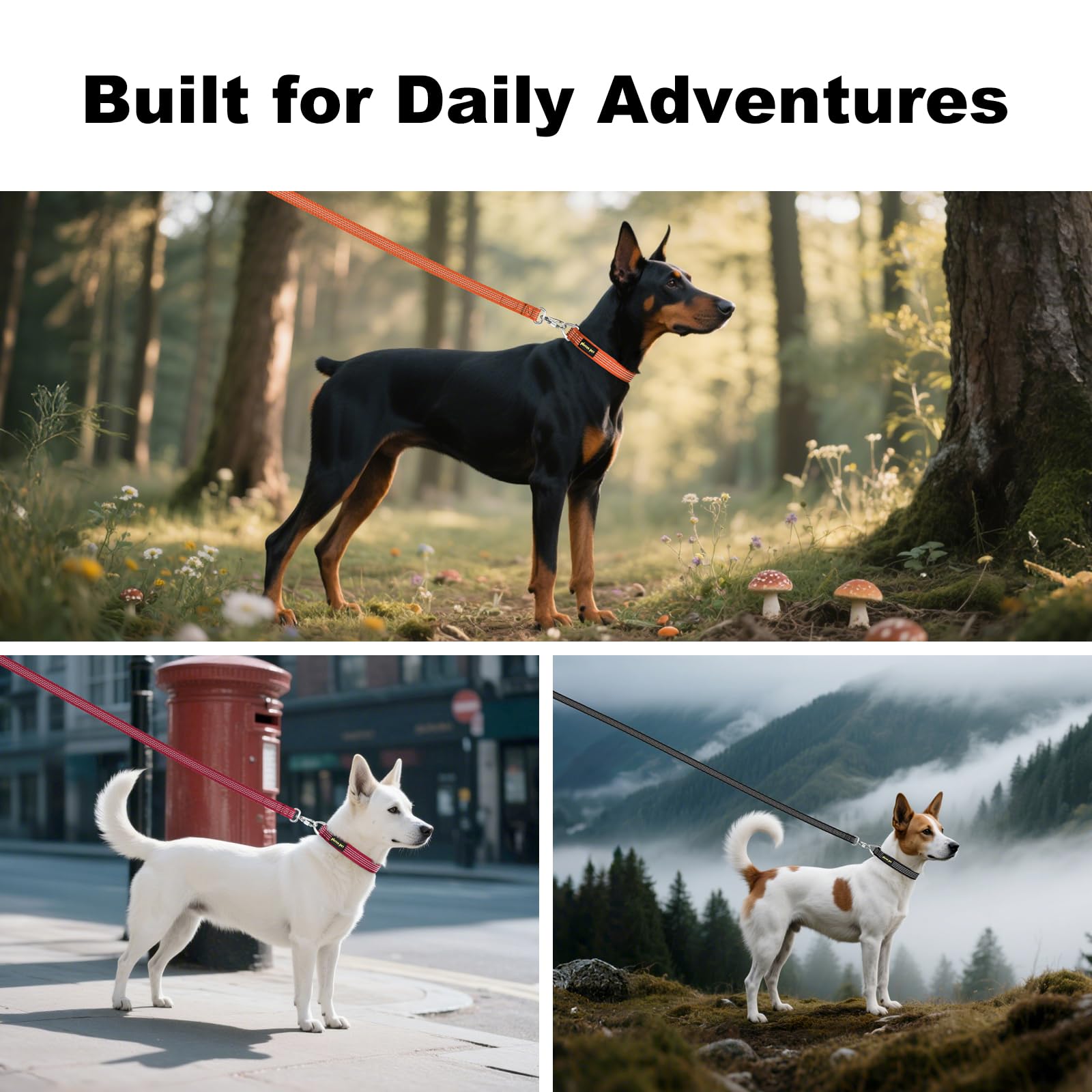 Plutus Pet versatile collar suitable for puppies to large dogs during hikes.