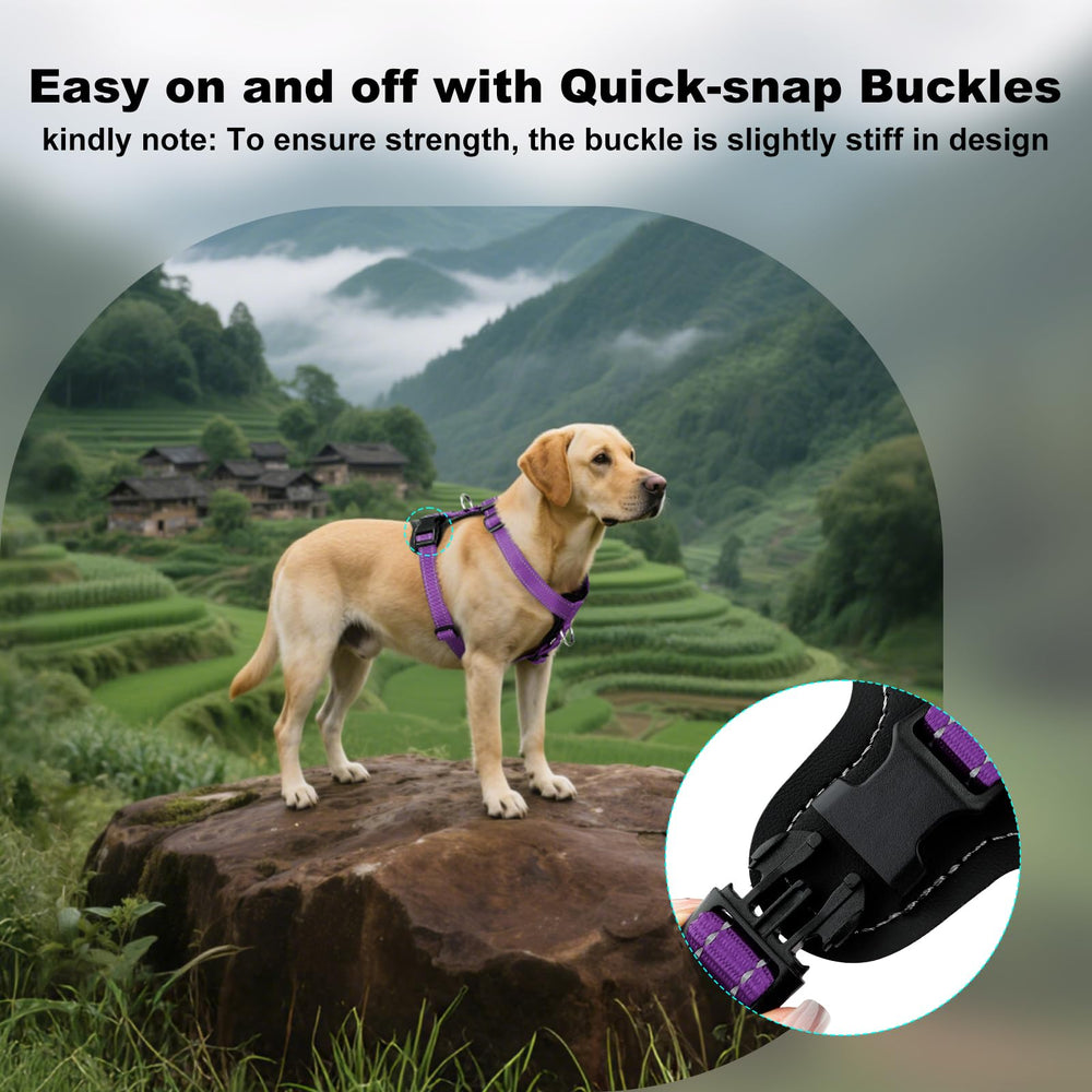 Plutus Pet quick-snap buckles speed up easy on/off sessions.