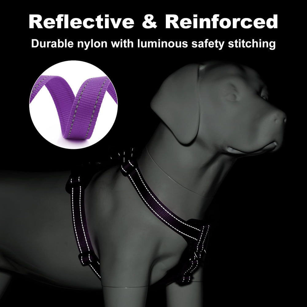 Plutus Pet reflective stitching enhances visibility during dawn or dusk walks.