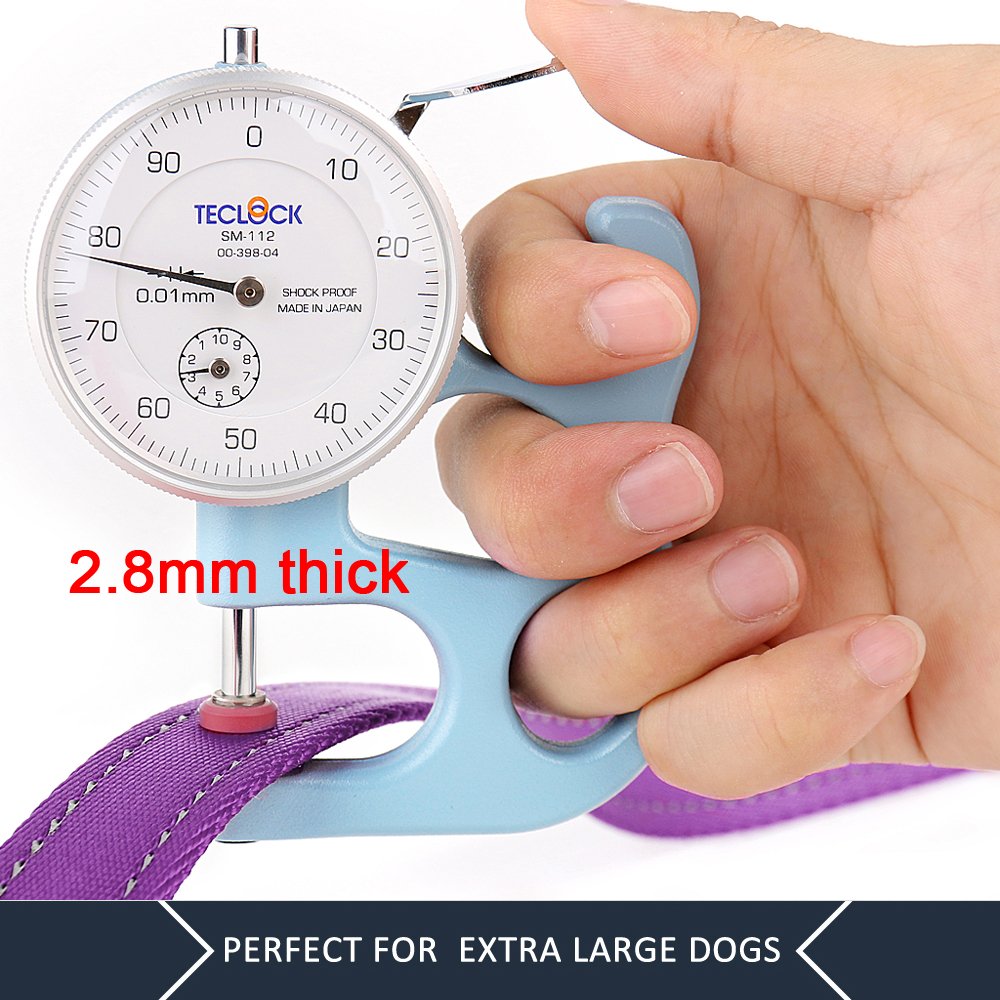 Plutus Pet reflective stitching leash purple increases visibility at night