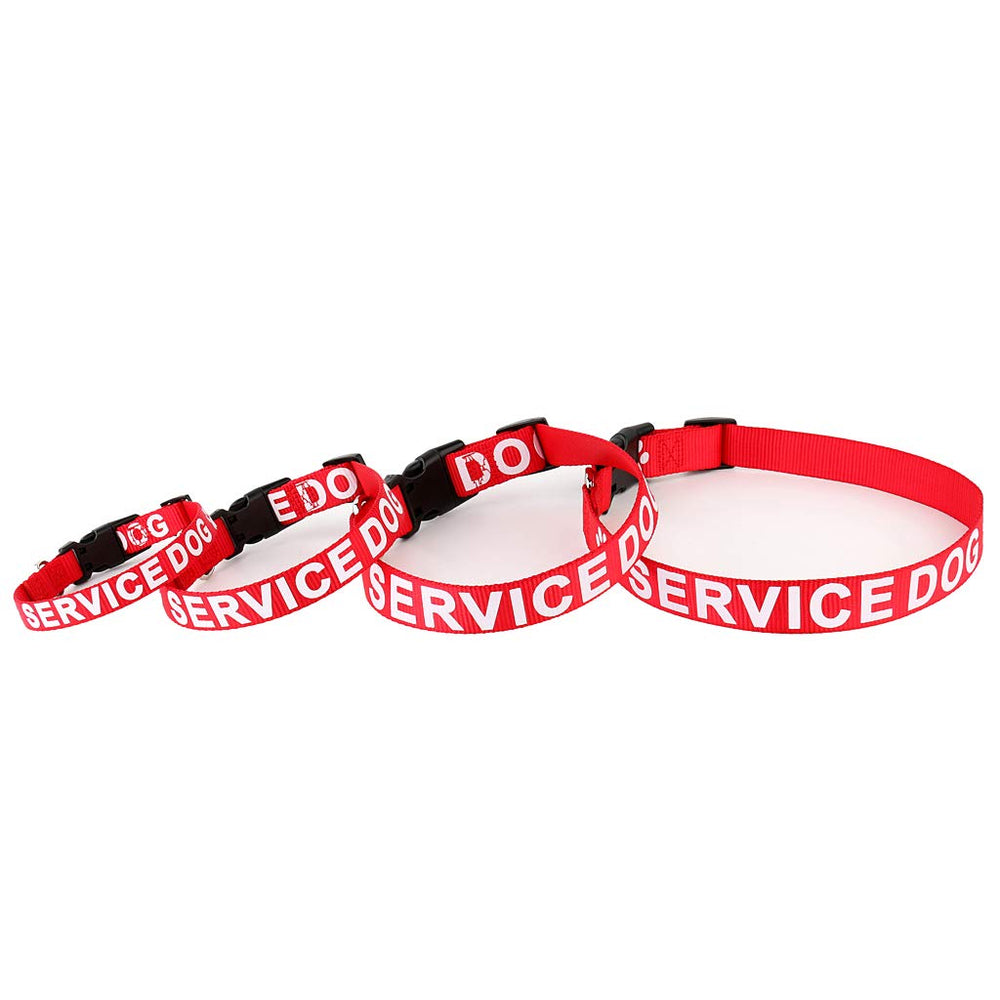 PLUTUS PET red service dog collar—nylon webbing texture for durability.