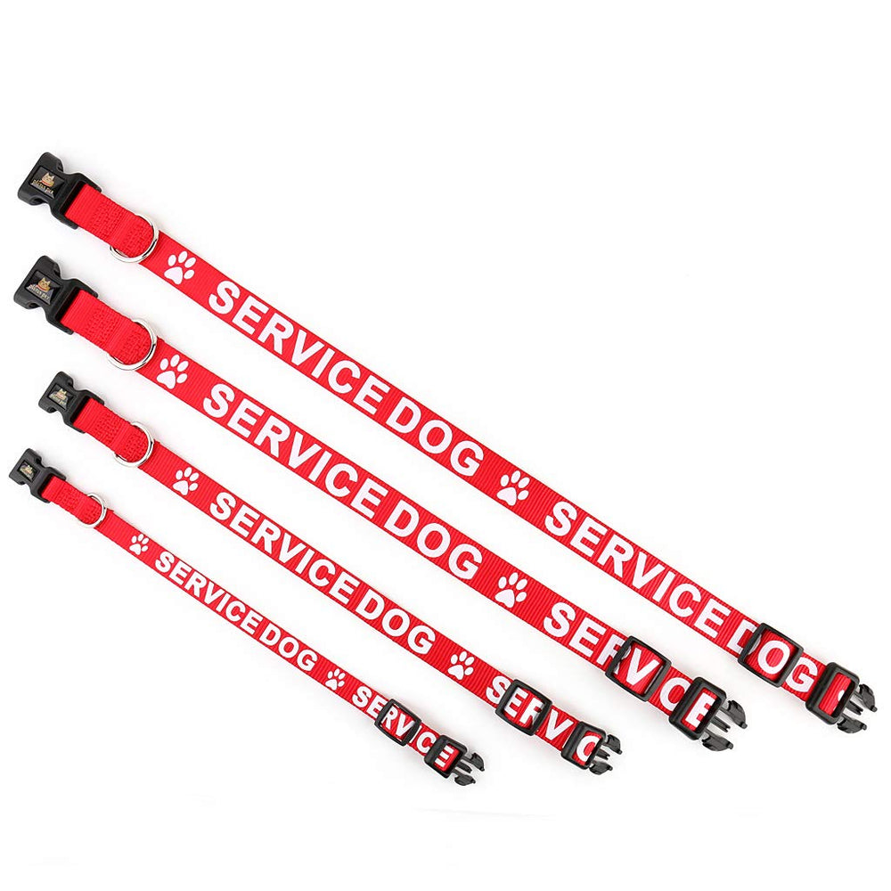 PLUTUS PET red service dog collar—side-release buckle in use for quick fitting.
