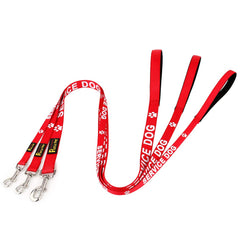 PLUTUS PET 4ft leash offers reliable control for small to mid-size dogs.
