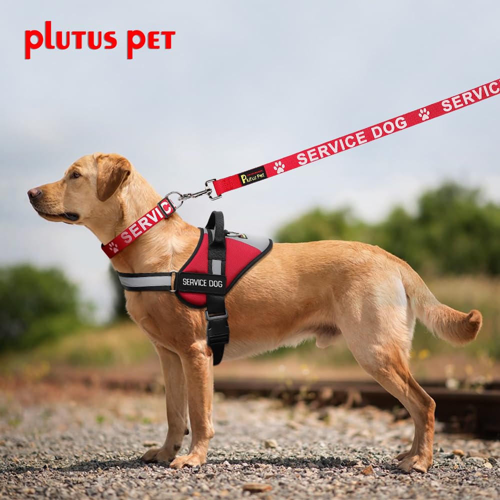 PLUTUS PET high-visibility red leash improves everyday visibility in crowds.