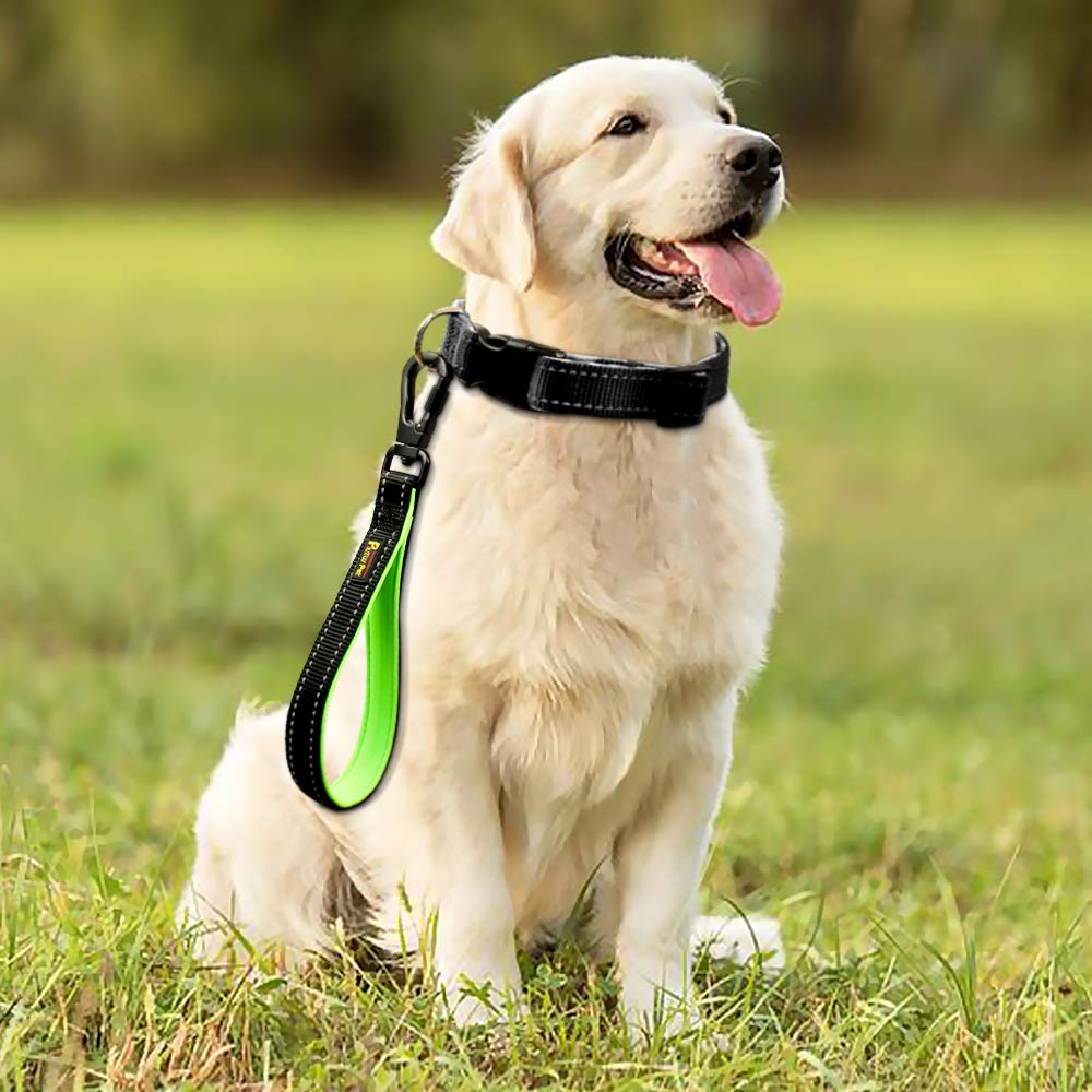 PLUTUS PET 10 inch leash offers premium quality and replacement support.