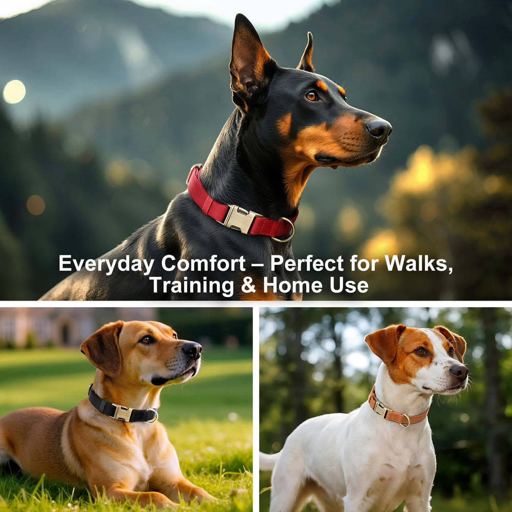 Plutus Pet skin friendly leather minimizes irritation for sensitive necks during walks