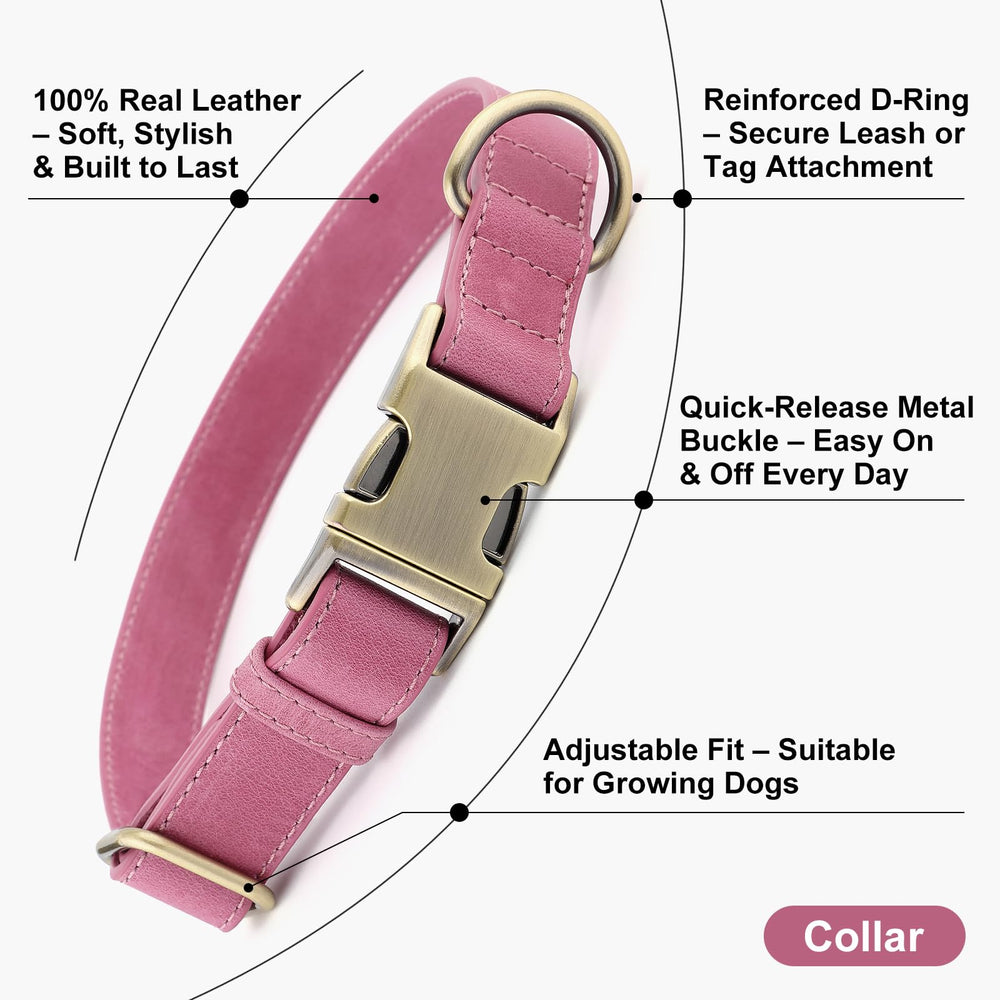 Plutus Pet soft real leather dog collar showing supple texture for comfortable wear