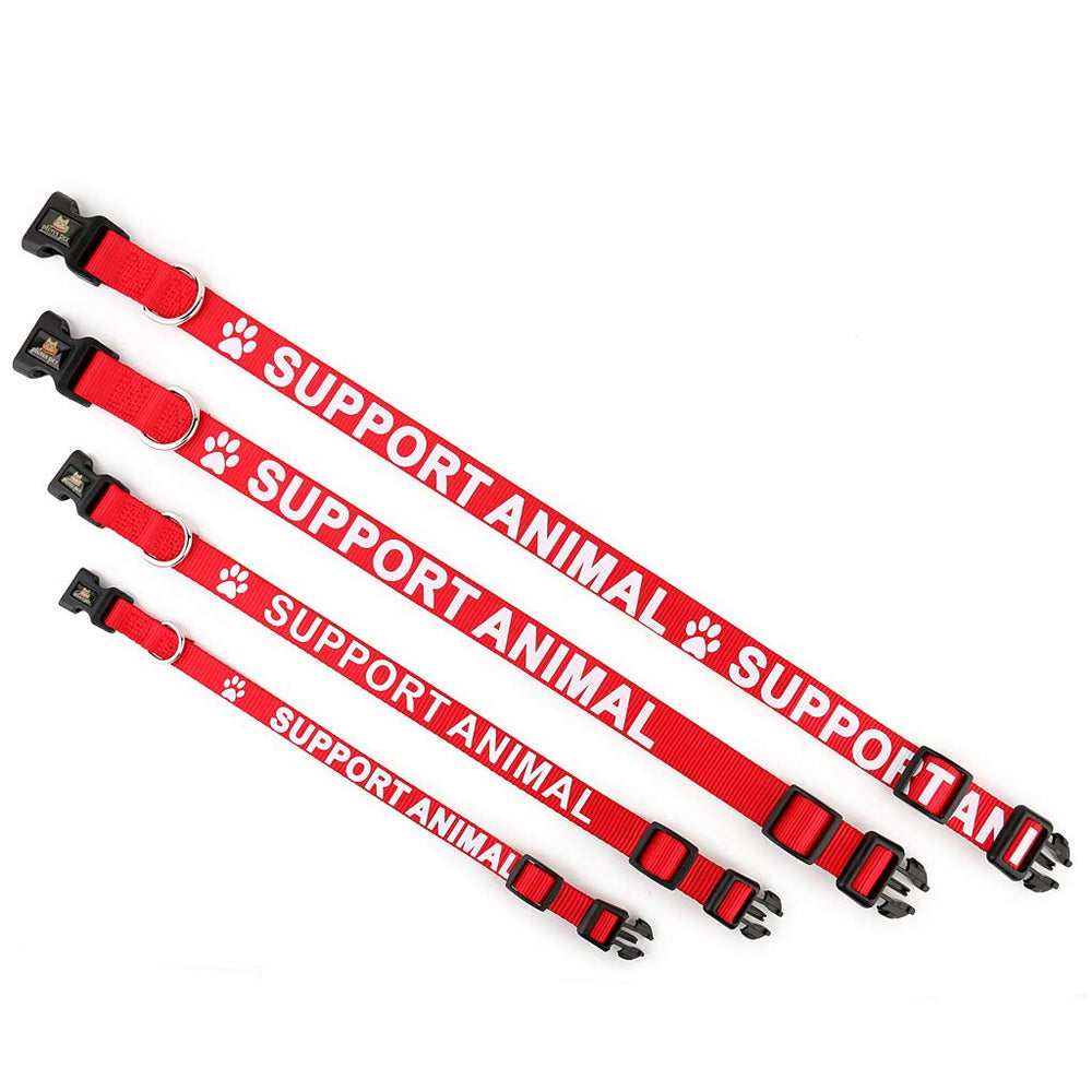 PLUTUS PET D-ring closeup for secure tag and leash attachment