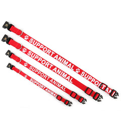 PLUTUS PET D-ring closeup for secure tag and leash attachment