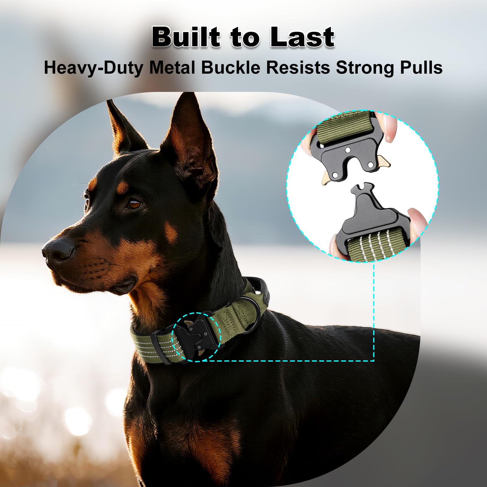 Plutus Pet collar neoprene padding close-up conveys comfort and padding