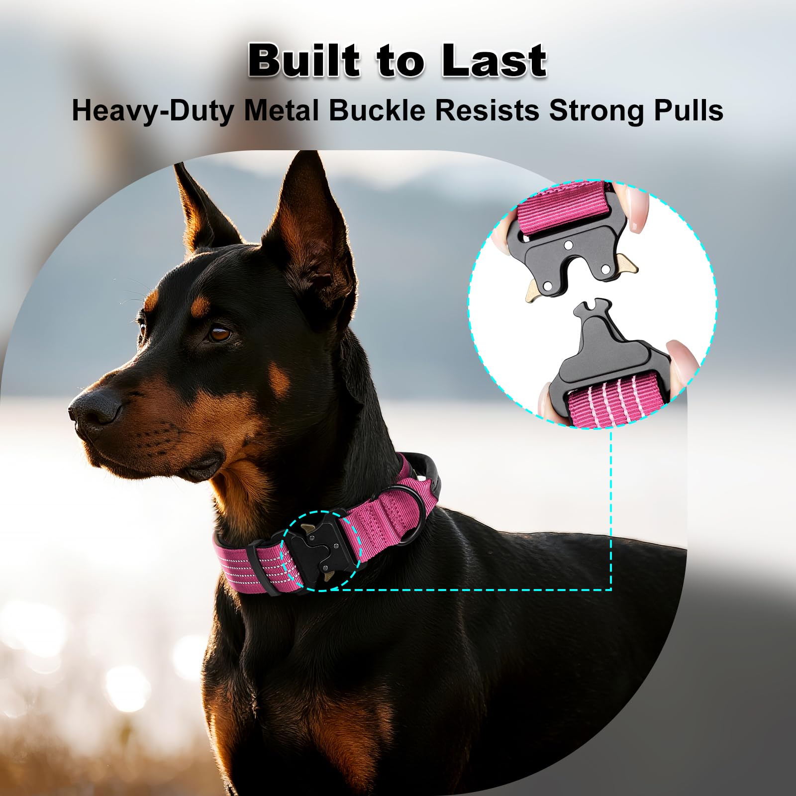 Plutus Pet collar metal buckle ensures a strong, secure fit for active dogs