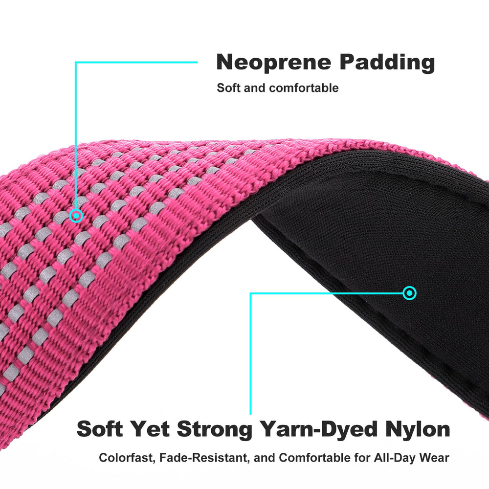 Plutus Pet collar neoprene padding adds comfort on long walks