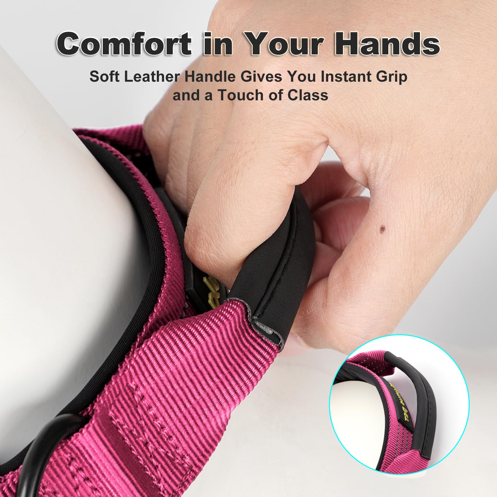 Plutus Pet collar nylon-webbing offers fade-resistant durability for everyday wear