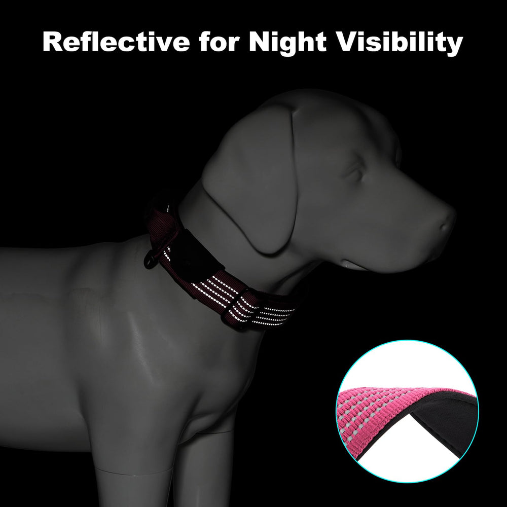 Plutus Pet collar quick-access handle provides control during busy outdoor moments
