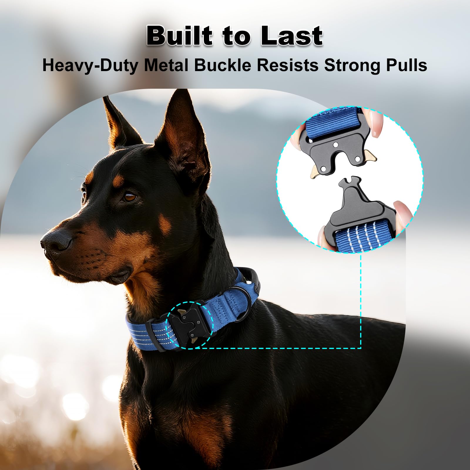 Plutus Pet Tactical metal buckle closeup for secure fit