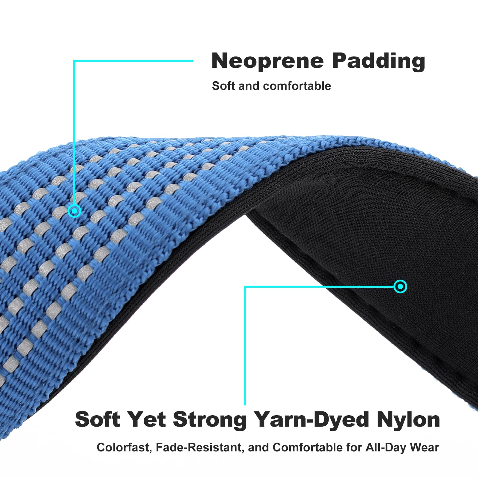 Plutus Pet Tactical reflective stitching image for safer dusk walks