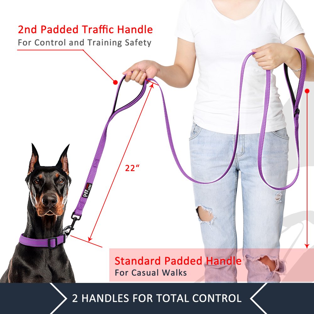 Plutus Pet traffic handle leash purple enables instant control in crowded areas