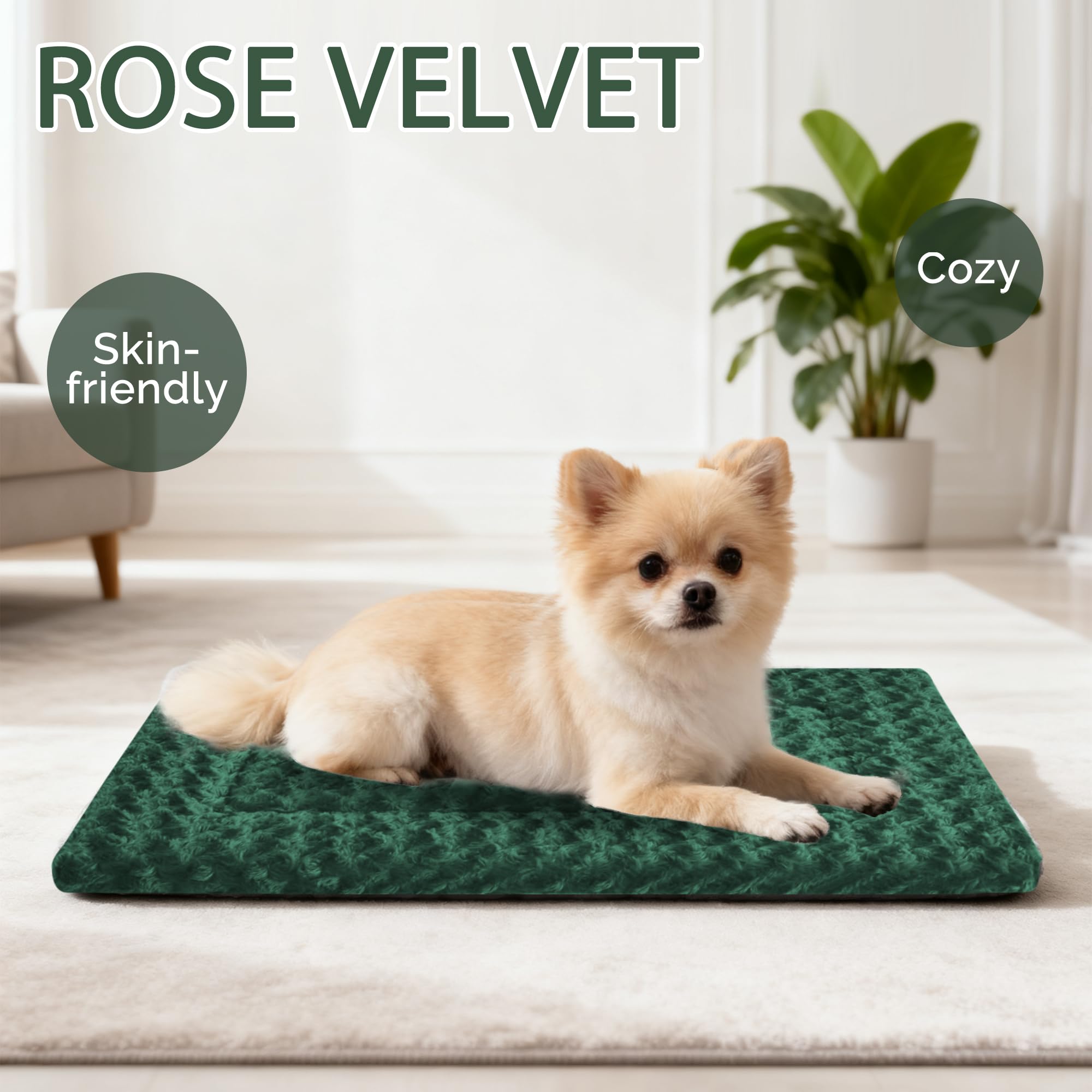 Pobopobo dog bed mat suited for indoor and outdoor use