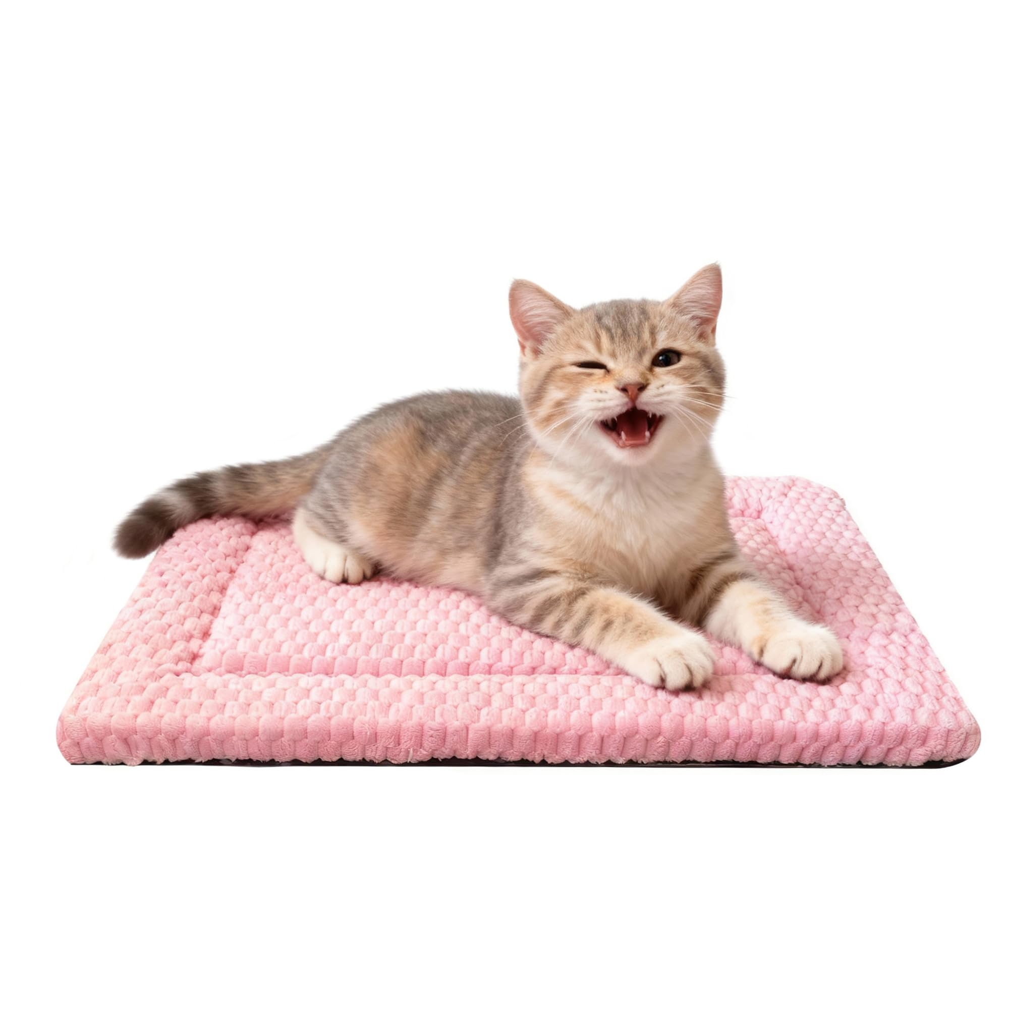 Pobopobo dog bed mat travel-lightweight option for adventures.