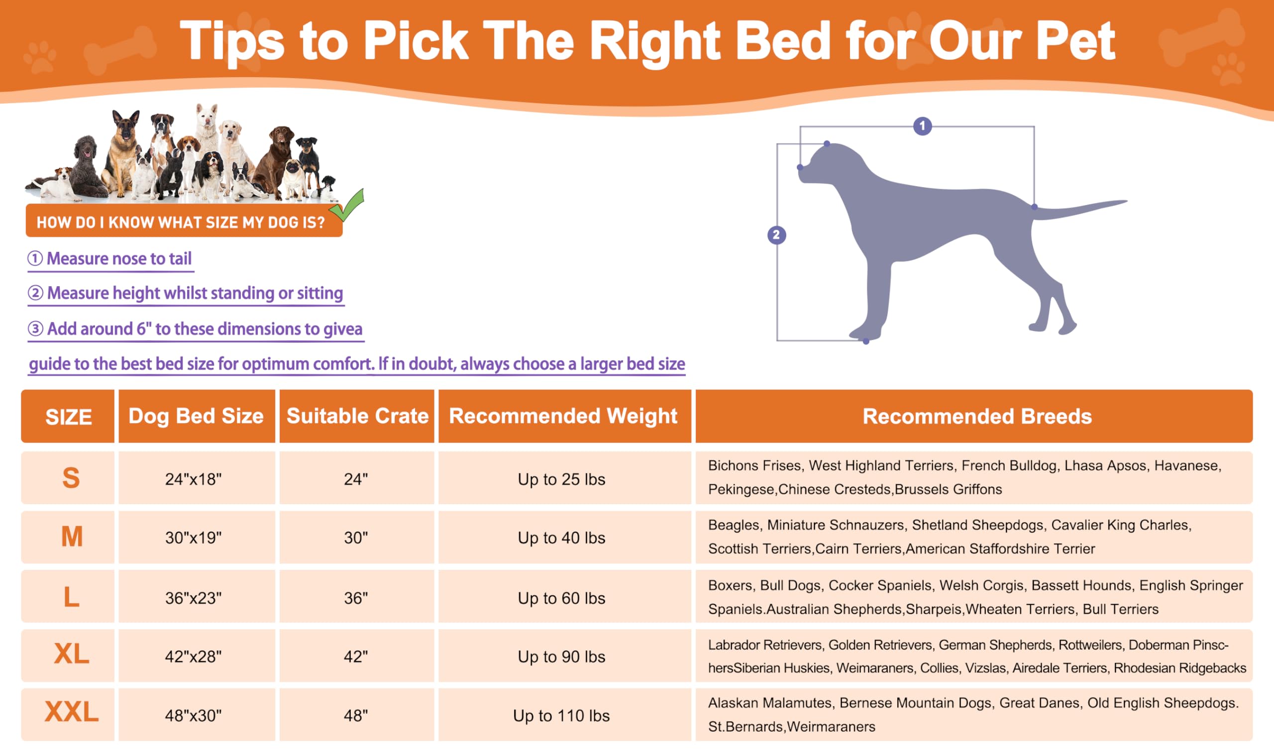 POCBLUE Deluxe dog bed corner straps add stability during use
