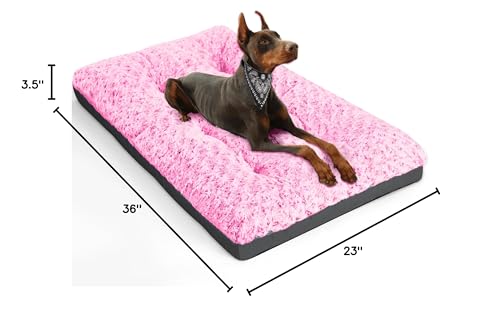 POCBLUE versatile bed for indoor, outdoor, car, and kennel use