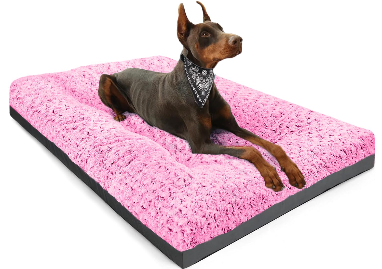 POCBLUE dog bed with rose velvet cover for plush naps
