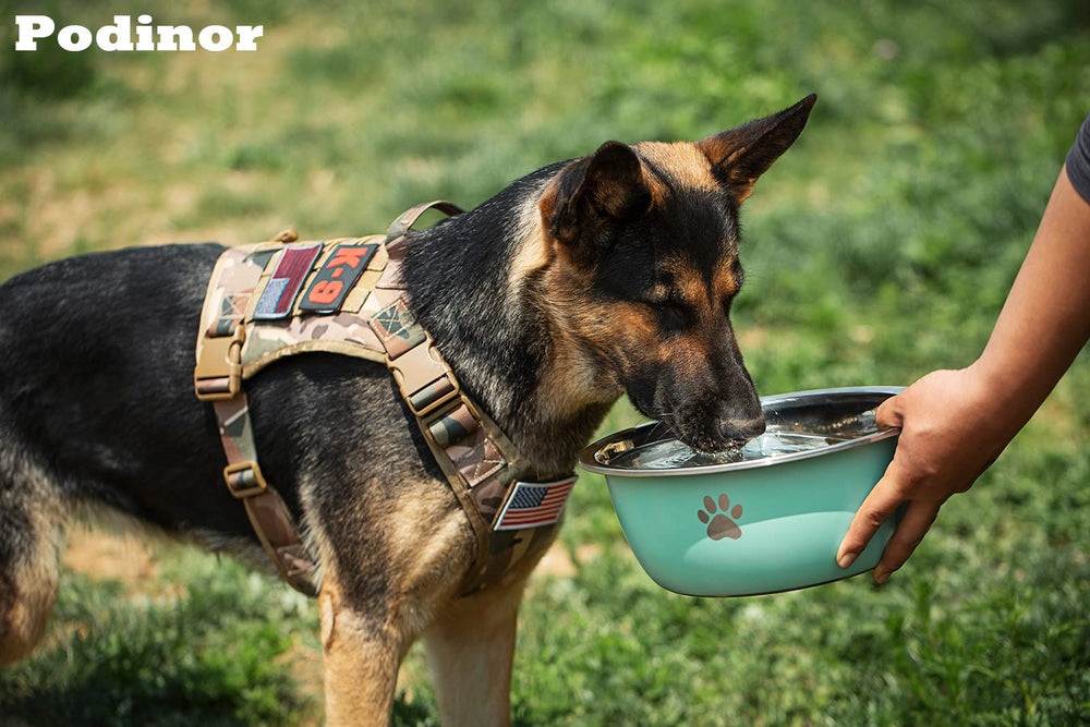 Podinor-large-dog-water-bowl-outdoor-durability highlights weather-ready stainless steel for outdoor use.