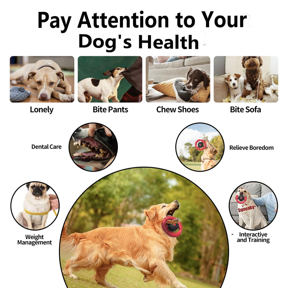 PODLINE dental-health chew toy may support teeth cleaning and gum comfort