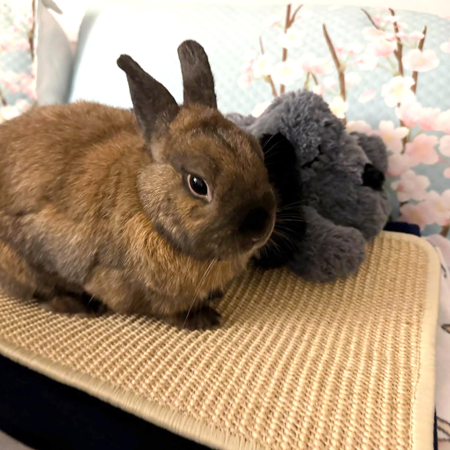 PODOO guinea pig and rabbit accessory shown in a cozy cage setup.