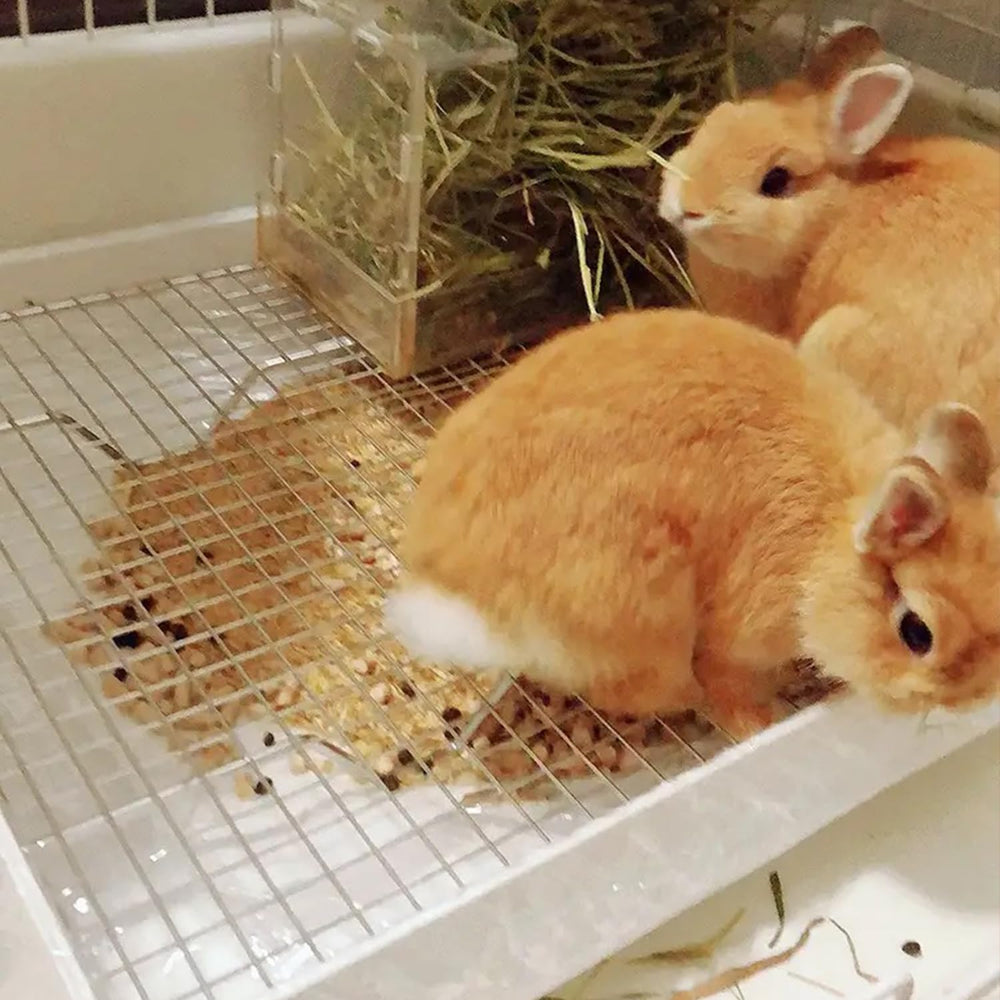 PODOO Rabbit Litter Box easy-clean design saves time during maintenance