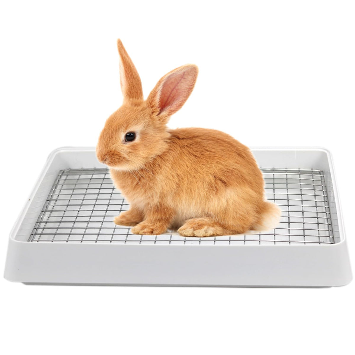 PODOO Rabbit Litter Box large size shown for roomy pet comfort and less spill