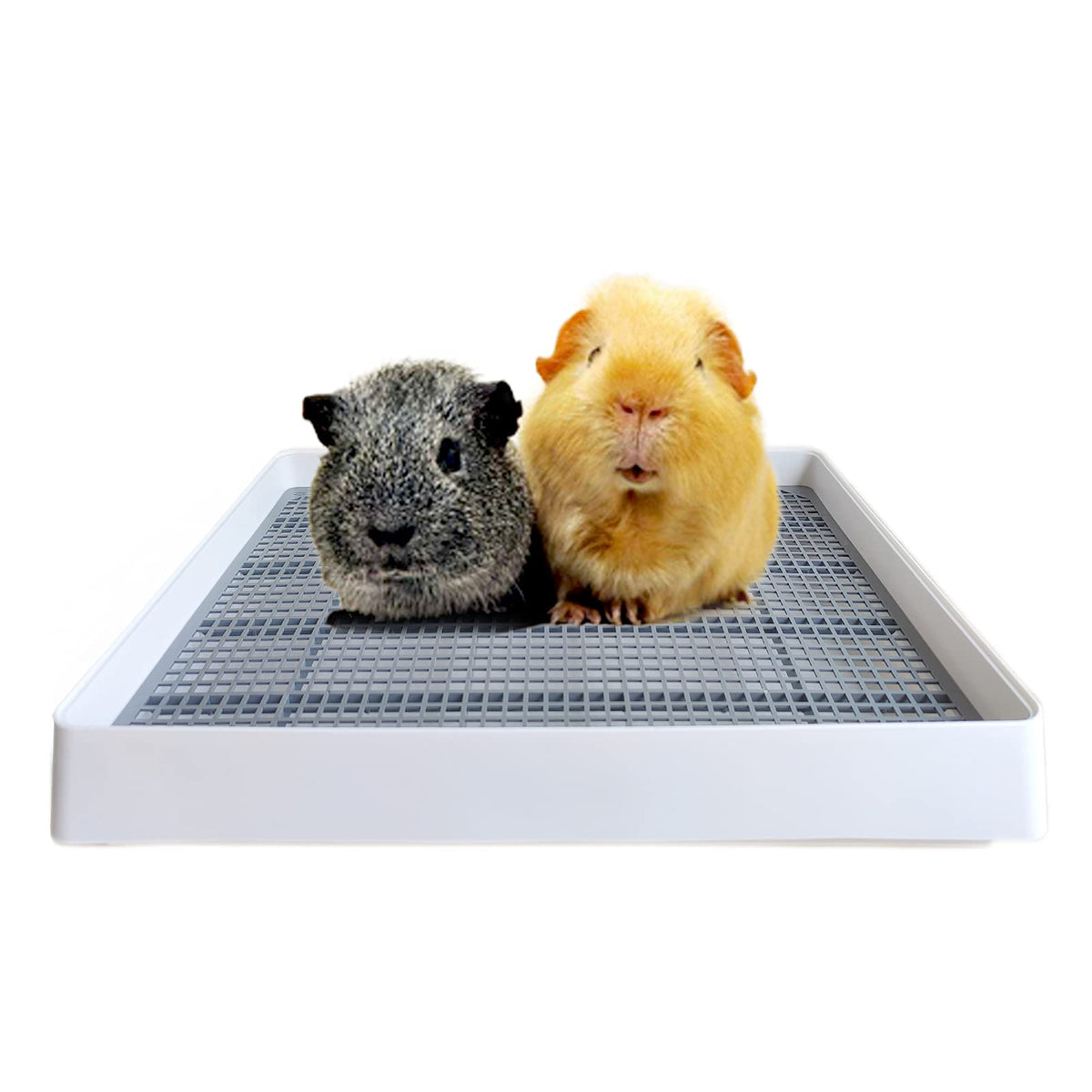 PODOO Rabbit Litter Box outer view — spacious tray for mess-free peeing