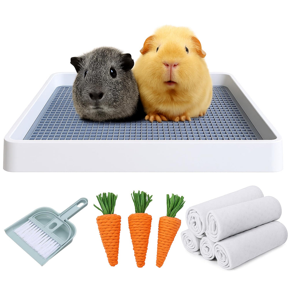 PODOO rabbit litter box top-view showing spacious area for training