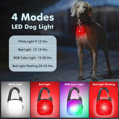 POEEY dog light clip-on colorful mode signals presence during nighttime play.