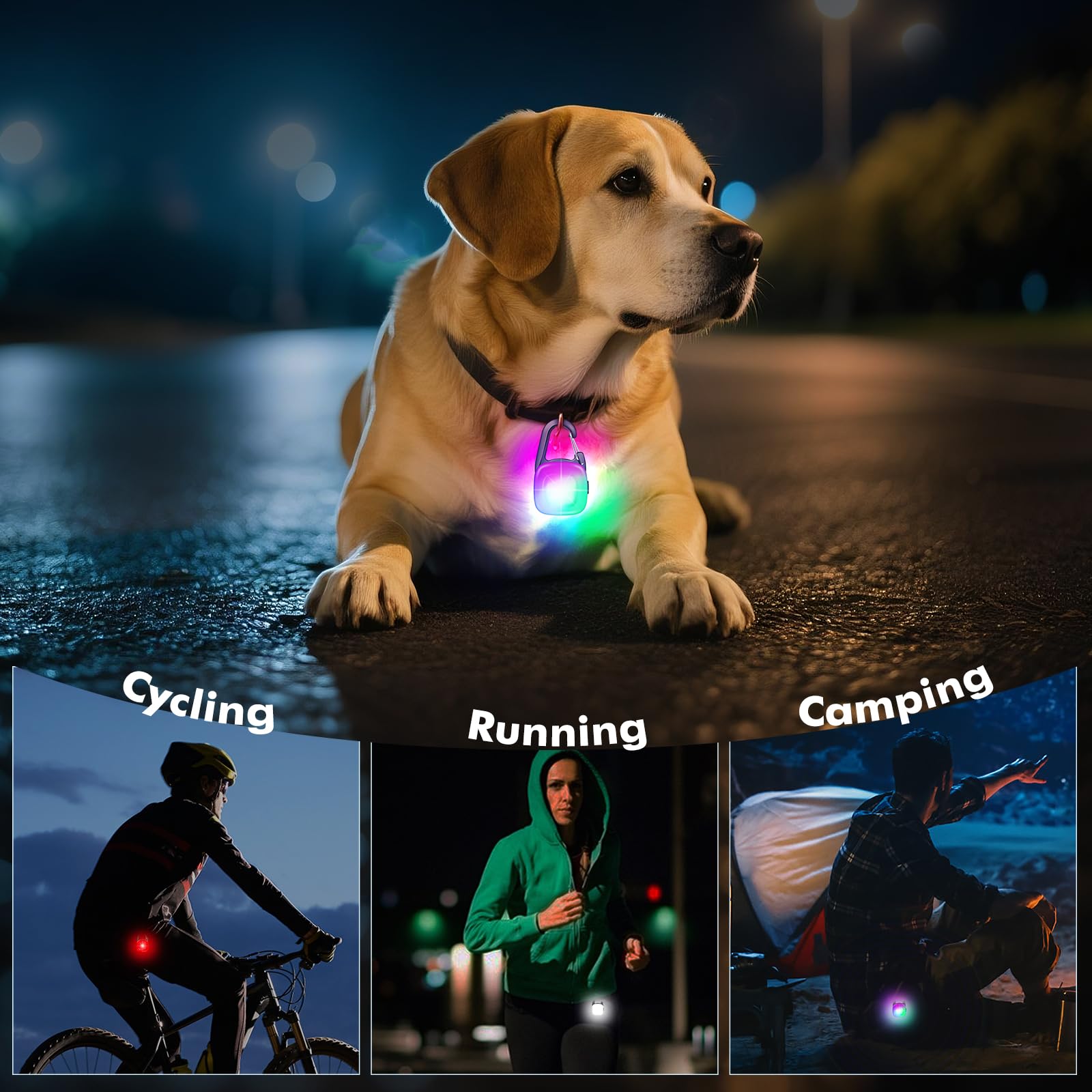 POEEY dog light clip-on reinforced clip keeps secure during fast runs.