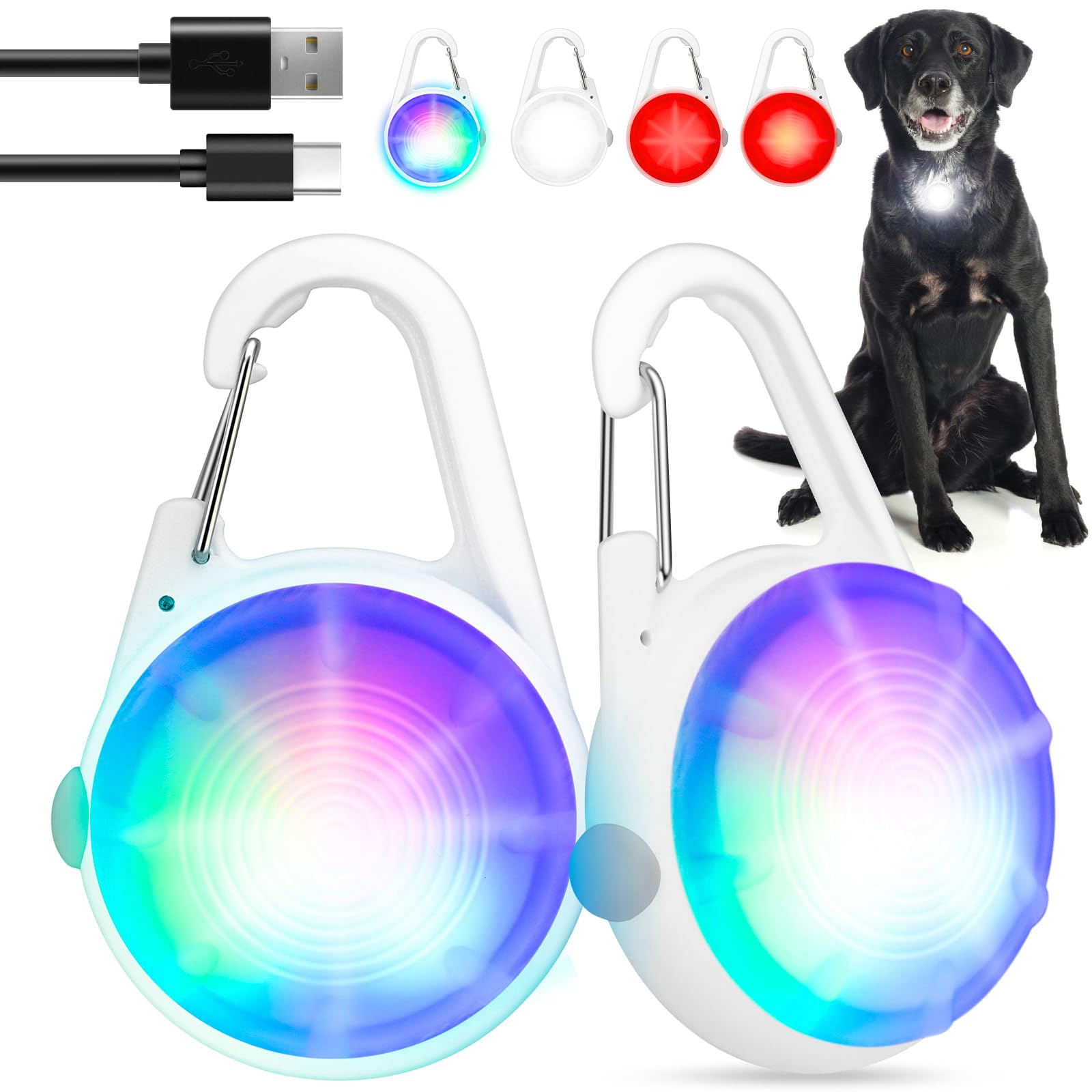 POEEY 2-pack dog lights clip-on for bright nighttime visibility during walks.