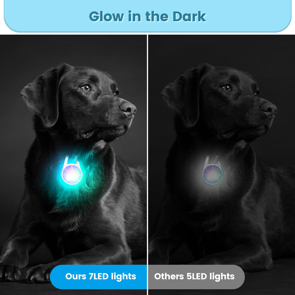 POEEY clip-on dog light in RGB mode adds colorful visibility for signaling.